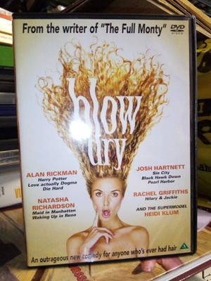 DVD BLOW DRY - PUHALLA KUIVAKSI ( SIS POSTIKULU)