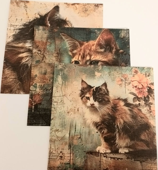 Kuviopaperit KISSAT / 3 kpl -setti / 15 x 15 cm