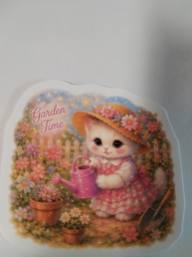 Kissa tarra.