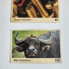 Purkkakuva Tarrakuva	Jenkki (17164) - pikkukuva 1