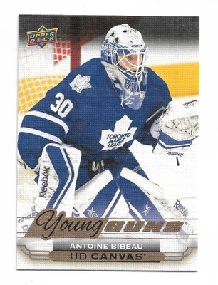 2015-16 Upper Deck Young Guns Canvas #C113 Antoine Bibeau