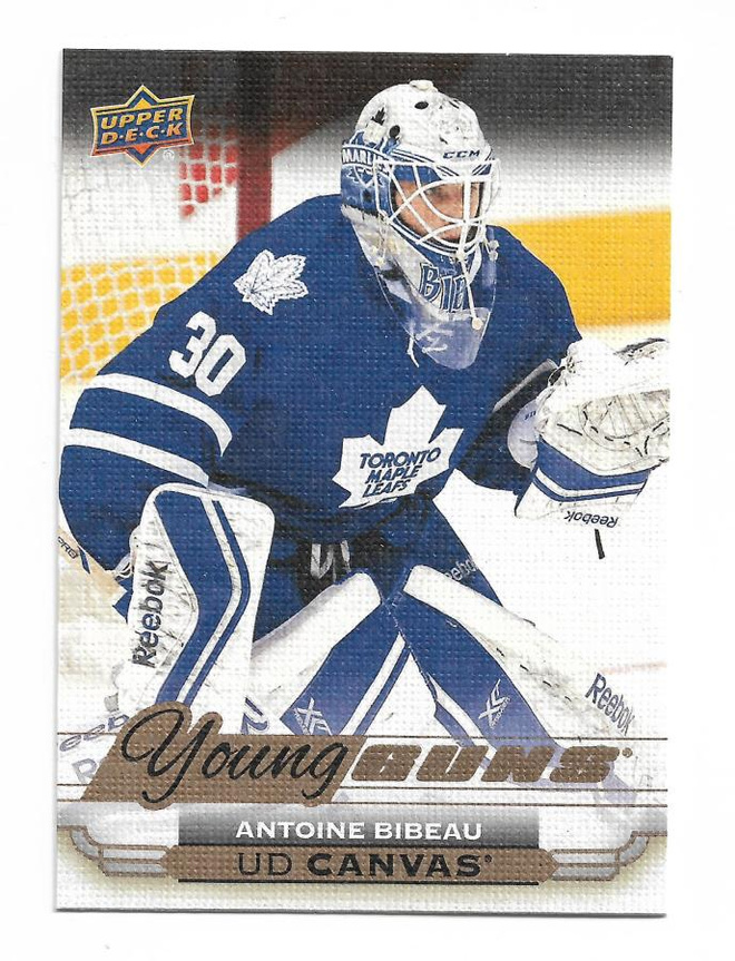 2015-16 Upper Deck Young Guns Canvas #C113 Antoine Bibeau