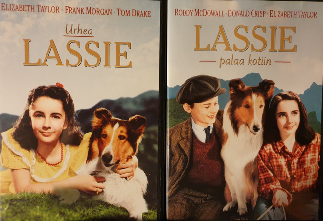 Urhea Lassie & Lassie palaa kotiin  DVD (Elizabeth Taylor)