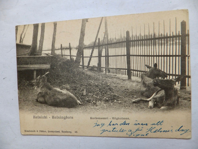 VANHA Postikortti Helsinki Korkeasaari ennen 1905