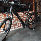 Fitnord ranger 300 sähkömaastopyörä - pikkukuva 1