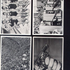 ååku . OLYMPIALAISET 1936 . Berliini . 4 kpl kuvia . -4 . - pikkukuva 1
