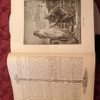 Hienossa kunnossa oleva Kuva Raamattu v. 1901 - pikkukuva 4