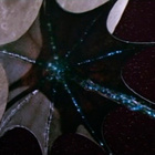 LIFEFORCE - Tappava yhteys (1985) 2-Disc LE Steelbook Arrow - pikkukuva 5