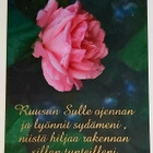 "Ruusun Sulle ojennan ja..."-KULKEMATON POSTIKORTTI - pikkukuva 1