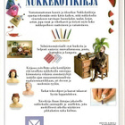 Vivienne Boulton : Nukkekotikirja - pikkukuva 2