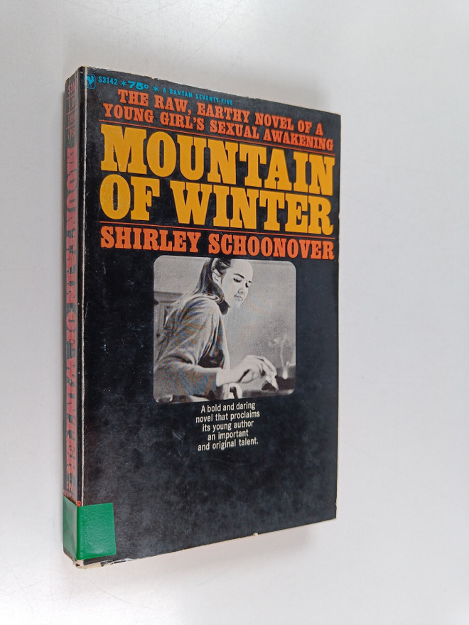 Shirley Schoonover : Mountain of winter