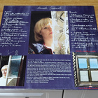 Anneli Saaristo Aina aika rakkauden LP - pikkukuva 2
