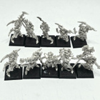 WHFB - 10kpl Dark Elf Witch Elves (sis. Command) [B43] - pikkukuva 1