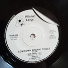 KUVAPUSSI SINGLE: LOWDOWN SHAKIN CHILLS - pikkukuva 3