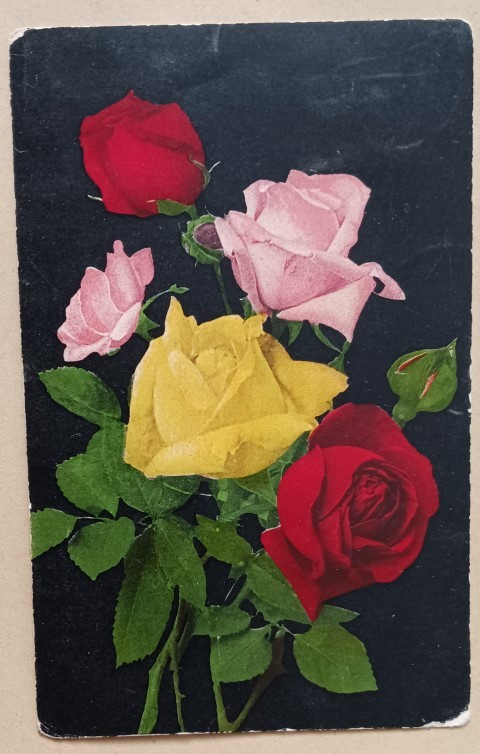 Värikäs ruusukimppu onnitteluina, p. 1910