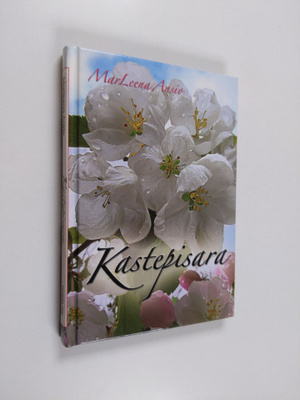 Marleena Ansio : Kastepisara