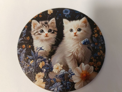 Kissa jääkaappi magneetti.