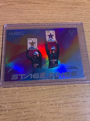 WRC Stage Kings SK-11
