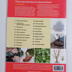 Ella Räty : Pihan peruskorjaus & rakentaminen - pikkukuva 2