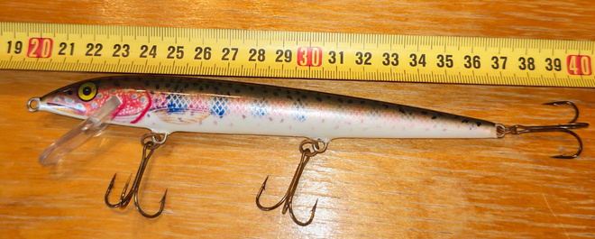 Rapala vaappu