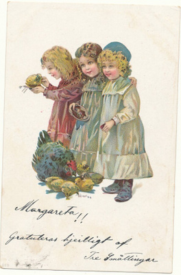 Tyttöset ja kanat - Carte Postale, kulk. 1906