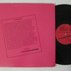 The Fixtures Dangerous Music LP - pikkukuva 2