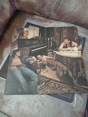Hurriganes – Crazy Days LP (Love Records)