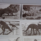 Dilophosaurus wetherilli, Chasmosaurus belli,Stegosaurus YM - pikkukuva 2