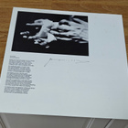 Patti Smith group Easter LP - pikkukuva 4