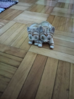Kissa