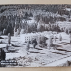 Siilinjärvi N:o 13428, Pohjois-Savon metsäkoulu,V. Karhumäki - pikkukuva 1
