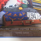 TANIS GRAY HARRY POTTER NEULEIDEN TAIKAA - pikkukuva 2