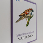 Suomen eläimet : Varpunen - pikkukuva 1