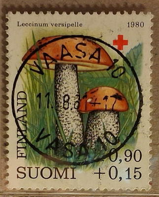 1980 0,90mk PR: Nappiloisto Vaasa 10  11.8.81 (1067)