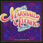 MARSHALL TUCKER BAND :: STILL HOLDIN'ON :: VINYYLI LP 1988 - pikkukuva 1