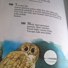 Carol Watson : 365 lasten rukousta - pikkukuva 4
