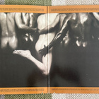 NEW BIRTH: Love Potion (LP) 1976 - pikkukuva 2