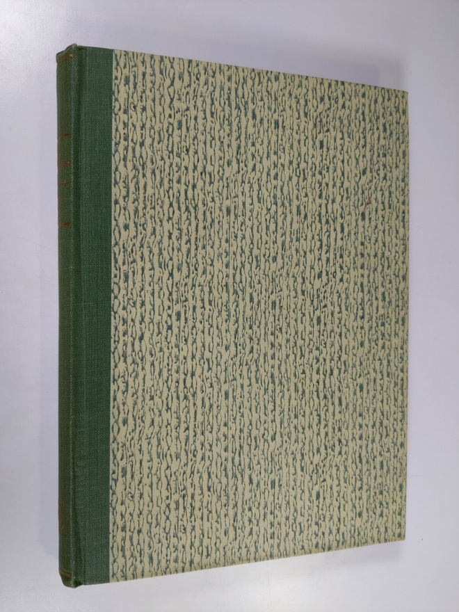 Eino Sormunen : Nuoruus myrskyssä