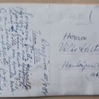 Kaksi poroa järven rannalla, metsämaisemaa, vkpk, p. 1954 - pikkukuva 2