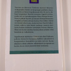 Laila Kohonen : Taavitin puinen kissa - pikkukuva 2