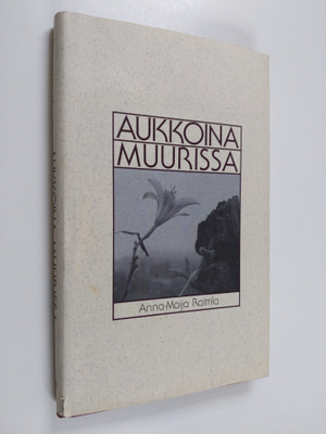 Anna-Maija Raittila : Aukkoina muurissa