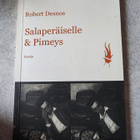 Robert Desnos Salaperäiselle & Pimeys - pikkukuva 1