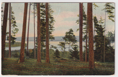 Ruovesi: Nuijan harju