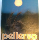 Pellervo No 12 elokuu 1983 - pikkukuva 1