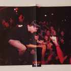 Ginger - The Wildhearts / Michael Monroe band - posteri - pikkukuva 2