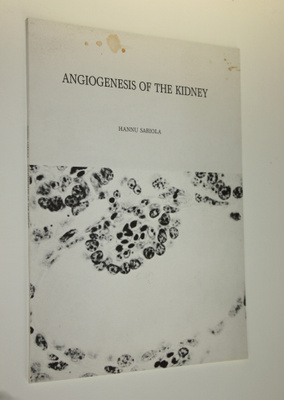 Hannu Sariola : Angiogenesis of the kidney