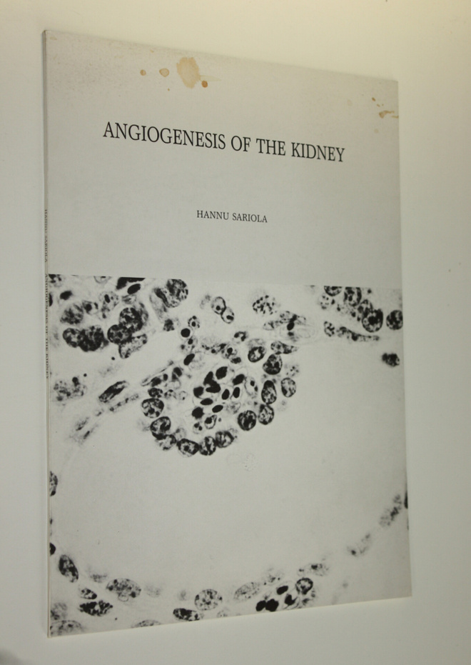 Hannu Sariola : Angiogenesis of the kidney