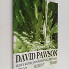 David Pawson : Jeesus kastaa yhdessä Pyhässä Hengessä : m... - pikkukuva 1