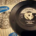 Dion & The Belmonts sinkku - pikkukuva 1