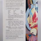 Bonniers kokbok - pikkukuva 2
